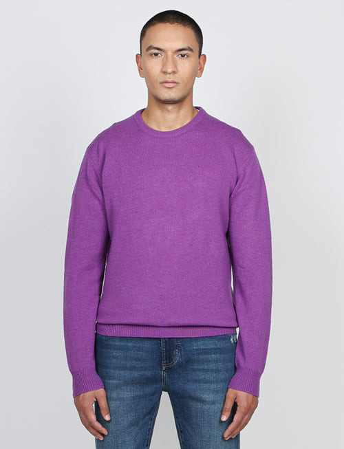 Maglia girocollo tinta unita in lana lambswool |Colore:Viola