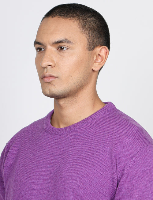 Maglia girocollo tinta unita in lana lambswool |Colore:Viola