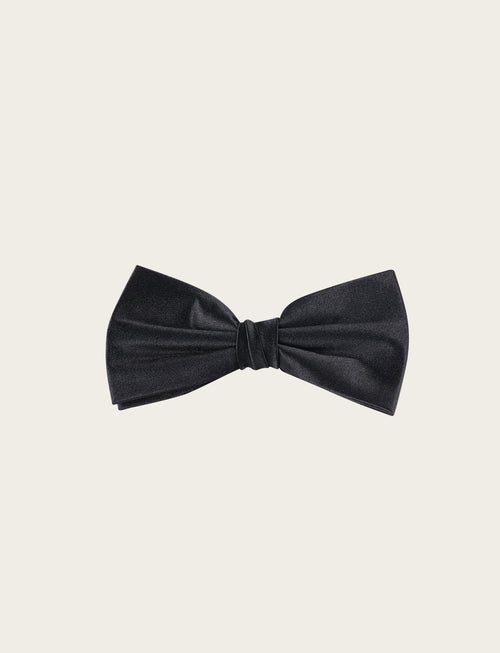 Papillon da uomo - Ampia scelta per camicia e abito Papillon da uomo - Ampia scelta per camicia e abito