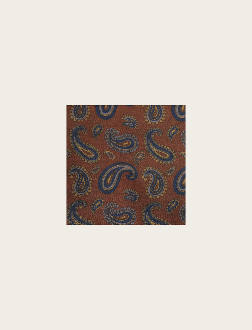 Pochette fantasia paisley