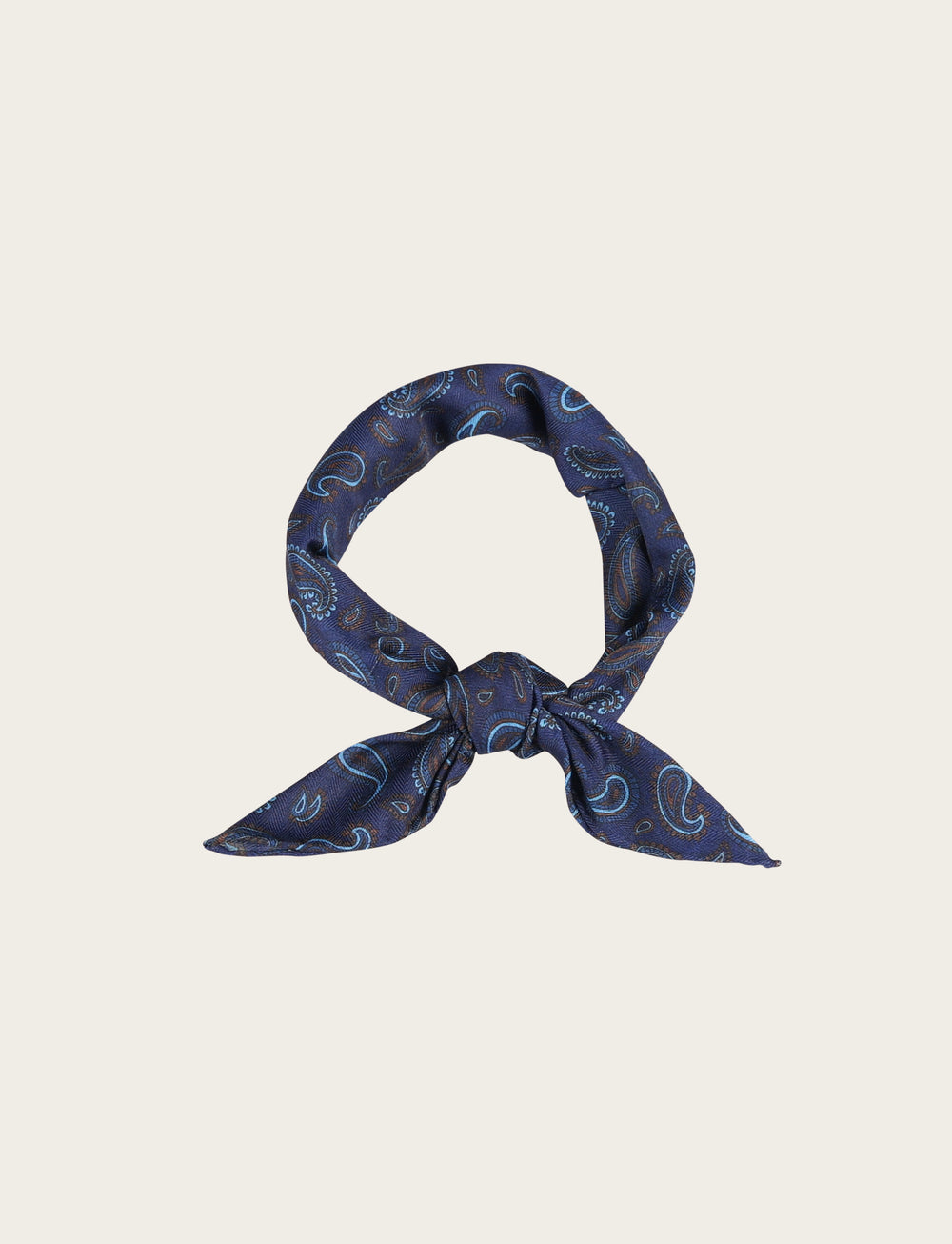Foulard fantasia paisley