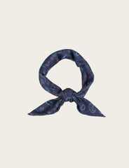 Foulard fantasia paisley