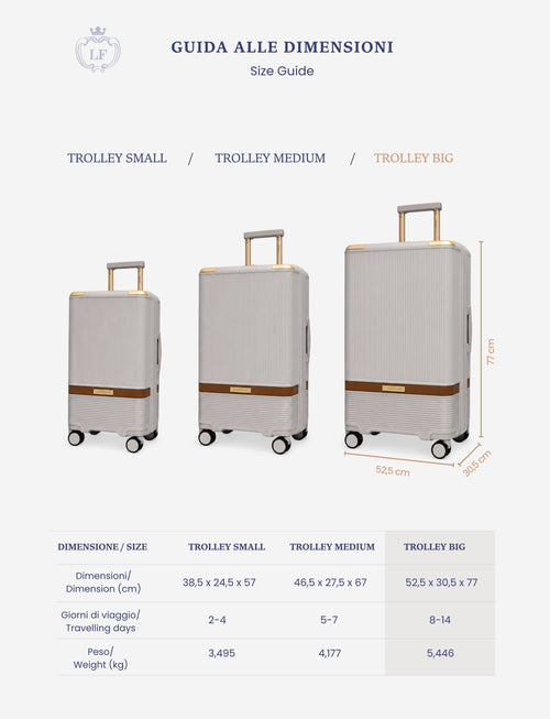 Trolley grande rigido 77 cm 4 ruote |Colore:Grigio